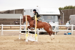 SBM_008933