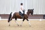 SBM_000868