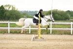 SBM_009229