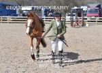 CLASS 4  British Novice/ 90cm Open portfolio