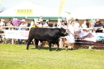SBM_08352