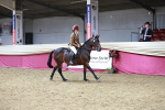 SBM_08393