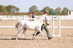 SBM_22764