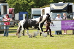 SBM_04297