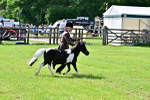 SBM_03433