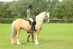 SBM_62635