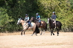 WJ6_9030