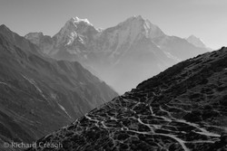 Paths