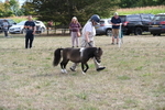 WJ6_7009