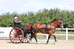 SBM_000858