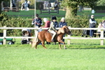 SBM_54076