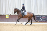 SBM_001462