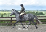 JAC_2667