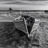 Magpie, Lindisfarne