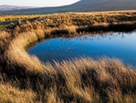 Skye Pond 05 C