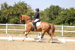 SBM_006582