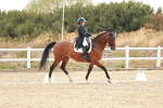 SBM_006857