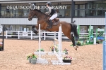 BPP_8472
