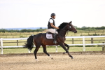 SBM_002496