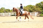 SBM_000393