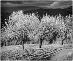 Andalucia 3 -168-Edit