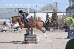 BPP_1431