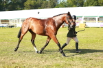 SBM_10797