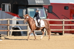 SBM_009180