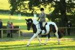 SBM_56491