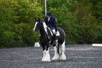 WJ5_8719