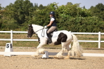 SBM_006556