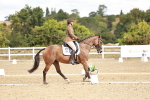 SBM_009806