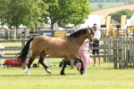 SBM_02069