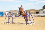 SBM_007294