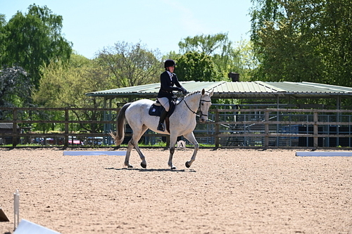 WJ6_2008