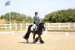 SBM_009169