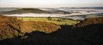 Morning mist 6