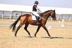 SBM_003071