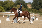 SBM_022642