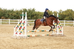 SBM_007708