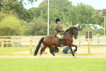 SBM_71989