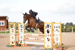 Fri 01 Snr Disco & 1.00m Open portfolio