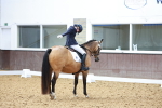 SBM_009136