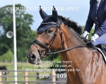 BPP_7109