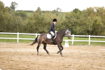 SBM_002601