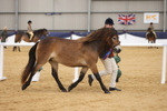 20260913-1329