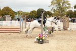 J12 - Junior Pony 55cm Championship portfolio