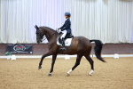 SBM_007063
