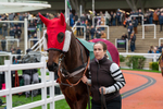 161125-Race 4-Fascile Mode-1617