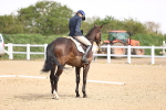 SBM_008043